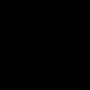 Meet your Posher, Perla